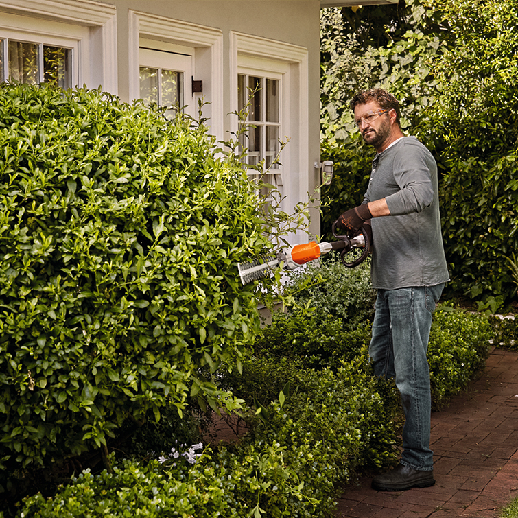 Stříhání živého plotu s produkty stihl